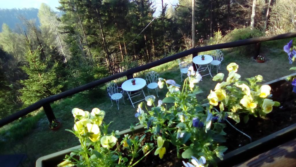 Abetina Apartment Levico Terme Luaran gambar