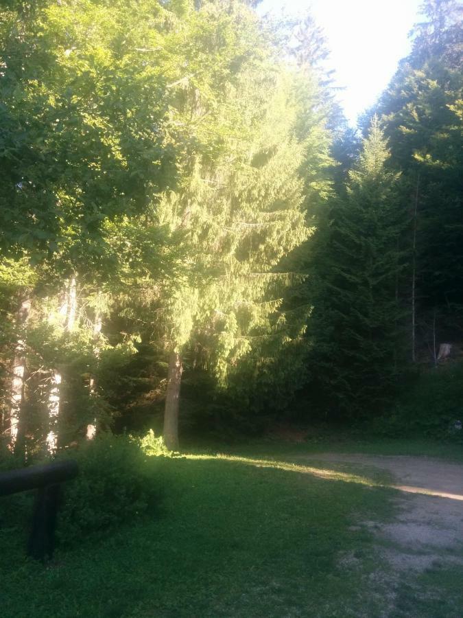 Abetina Apartment Levico Terme Luaran gambar